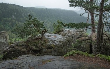 46 RadkowskieSkałyWJR_5538  M