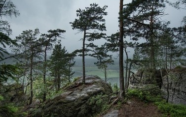 45 RadkowskieSkałyWJR_5537  M