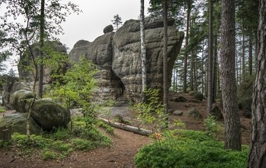 44 RadkowskieSkałyWJR_5520kadr  M