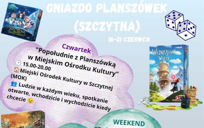 Zdjęcie do Gniazdo Plansz&oacute;wek
